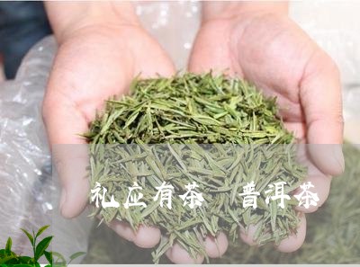 礼应有茶 普洱茶/2023031733138